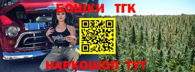 мдпв Новодвинск