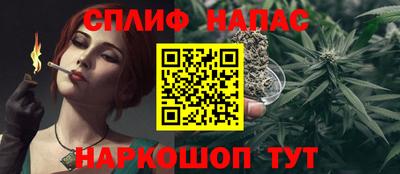 мдпв Новодвинск