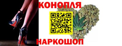 гашиш Новозыбков