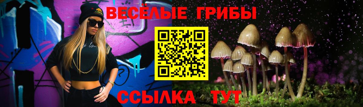 Галлюциногенные грибы MAGIC MUSHROOMS Солнечногорск